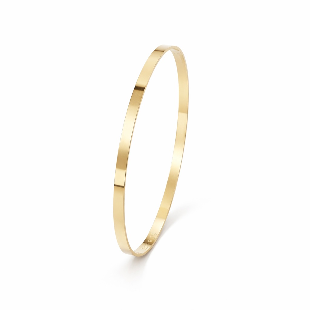 Bratara aur 14k fixa simpla Pure Line Bangle